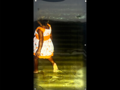 Image for Meena Fortis