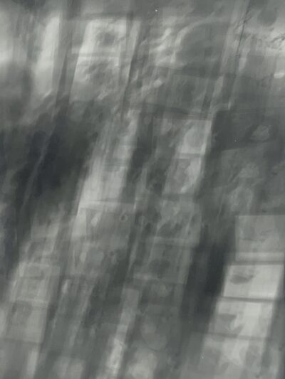 Image for Sylia Arcino