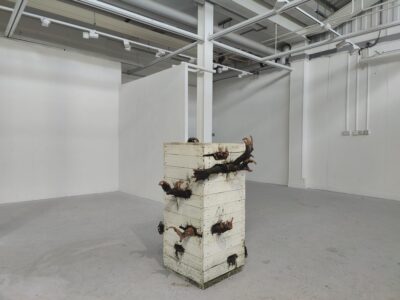 Image for Rommi Kang