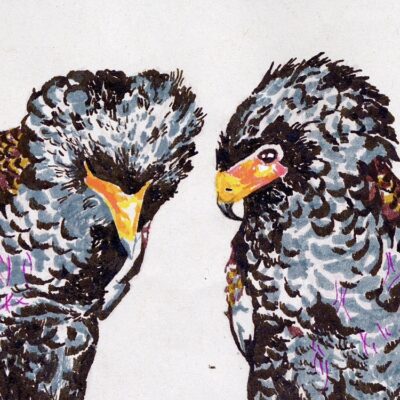 Image for Sylvie Hankinson