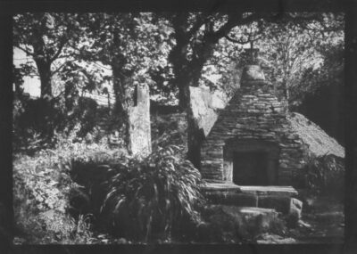 Image for LJ Haggerty