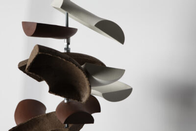 Image for Rebecca Matthews