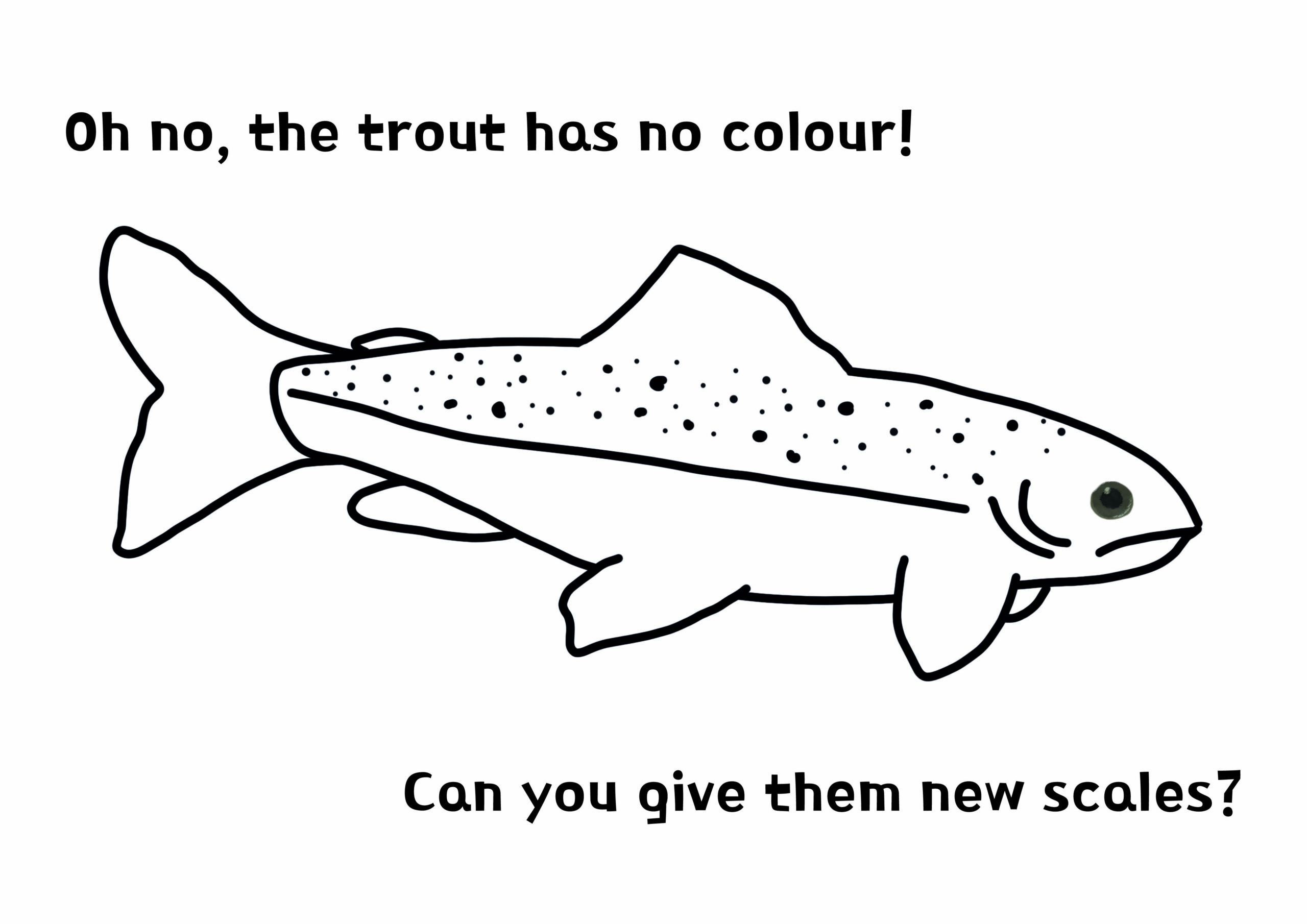 Trout colouring sheet