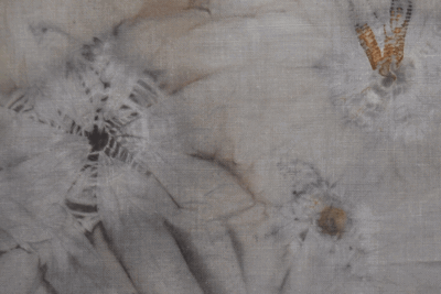 Image for Emma Wyatt