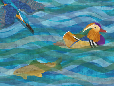 Image for Lucy Hubbert