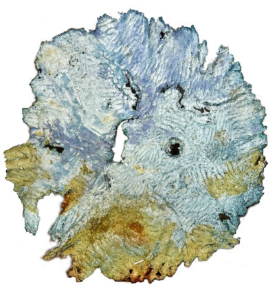 Image for Ruby Young