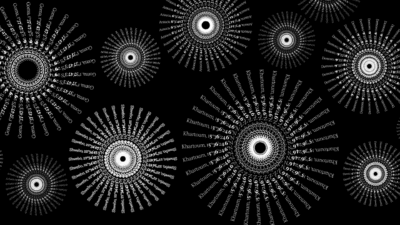 Image for Maciej Kowalewski