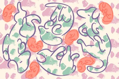 Image for Charlotte Winkless